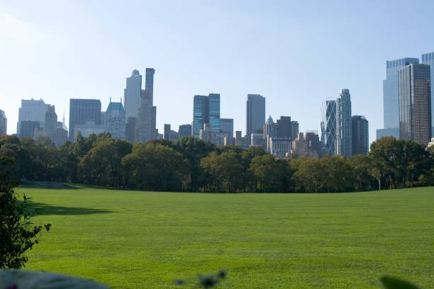 istock Central Park View, New York City 157310340