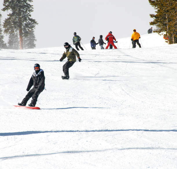 Winter nature background ski resort