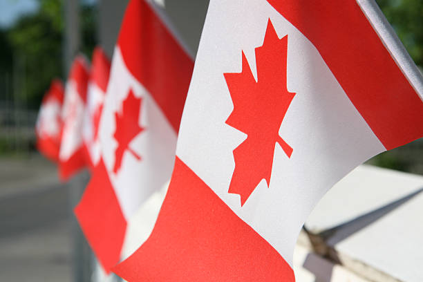 Canada day flags A row of Canadian flags set out for Canada day celebrations on July first.The foreground flag is sharply focused,while the background flags fall progressivly out of focus. canada day photos stock pictures, royalty-free photos & images
