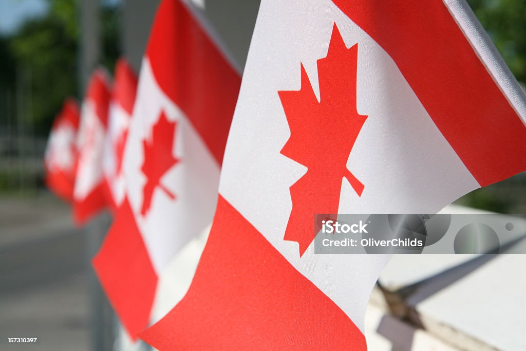 Bandeiras do Dia do Canadá - Foto de stock de Dia do Candá royalty-free