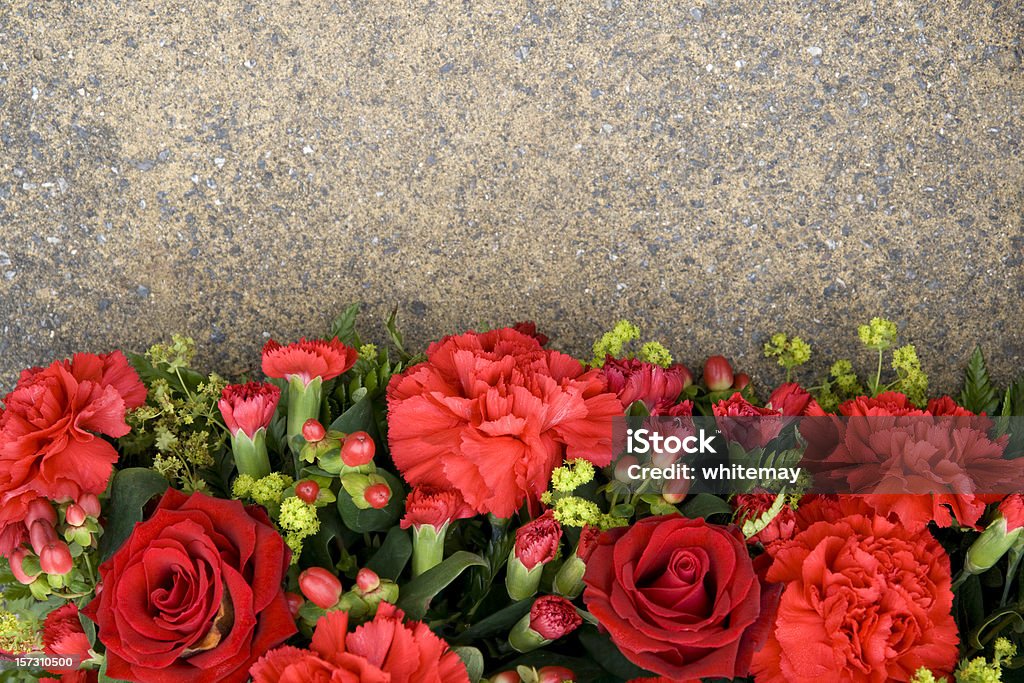 Rote Blume Grenze - Lizenzfrei Nelke Stock-Foto