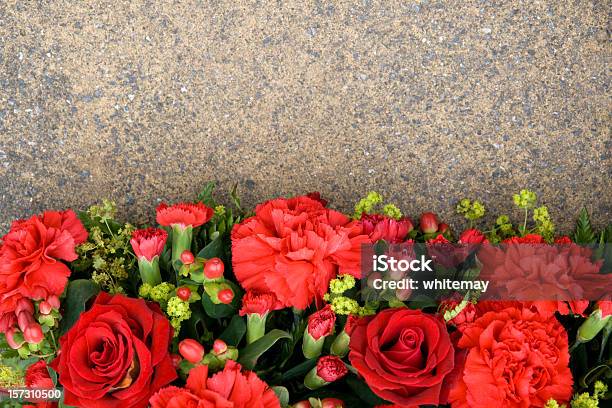 Rote Blume Grenze Stockfoto und mehr Bilder von Nelke - Nelke, Rot, Beere - Obst