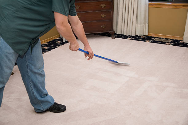 Raking Carpet After Cleaning stock photo