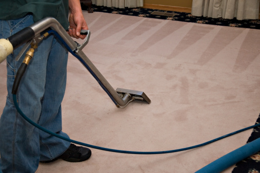 A woman is using a vacuum cleaner to clean a pet's room, dirty carpet and pet hair