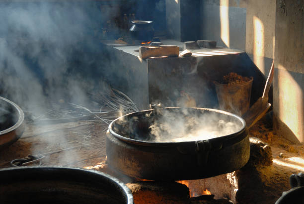 la cocina de ayurveda como foco principal medicamento - ayurveda herb alternative medicine herbal medicine fotografías e imágenes de stock