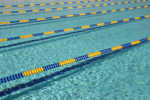 istock Rows Of Swim Lanes 157311135