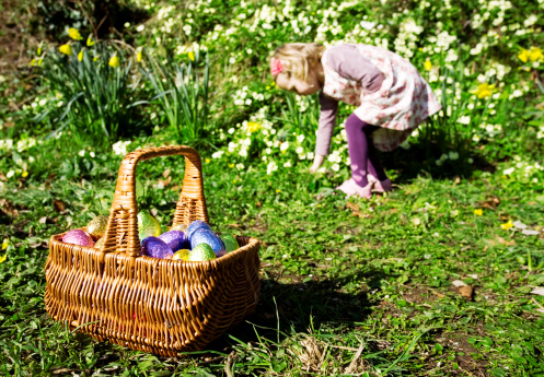 Girl collecting Easter eggs in a basket