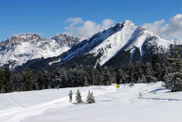 istock Cross country skiing 157311577