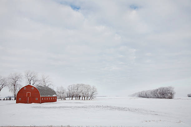 istock Red barn in the winter snow with a snow covered landscape 157311651