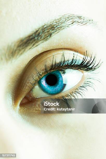 Eyeseries Stockfoto und mehr Bilder von Attraktive Frau - Attraktive Frau, Augenbraue, Aussicht genießen