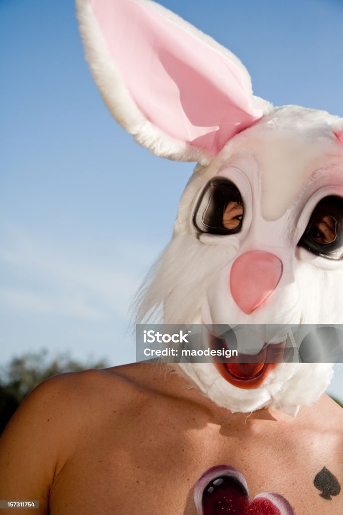 Love conejo - Foto de stock de Mascota famosa libre de derechos