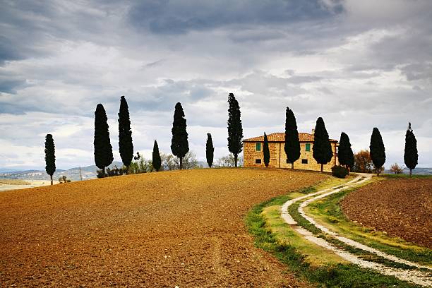 istock Tuscany Villa Fall with Cypress Trees 157311927