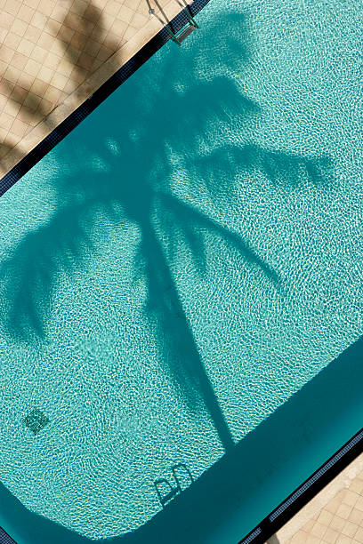 palmen und pool, der birds-eye-view. - hotel fotos stock-fotos und bilder