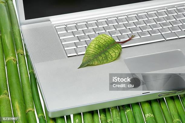 Foto de Teclado De Laptop E Folhas De Bambu e mais fotos de stock de Beleza natural - Natureza - Beleza natural - Natureza, Cinza - Descrição de Cor, Computador