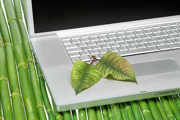 istock Green laptop with two leaves 157311999