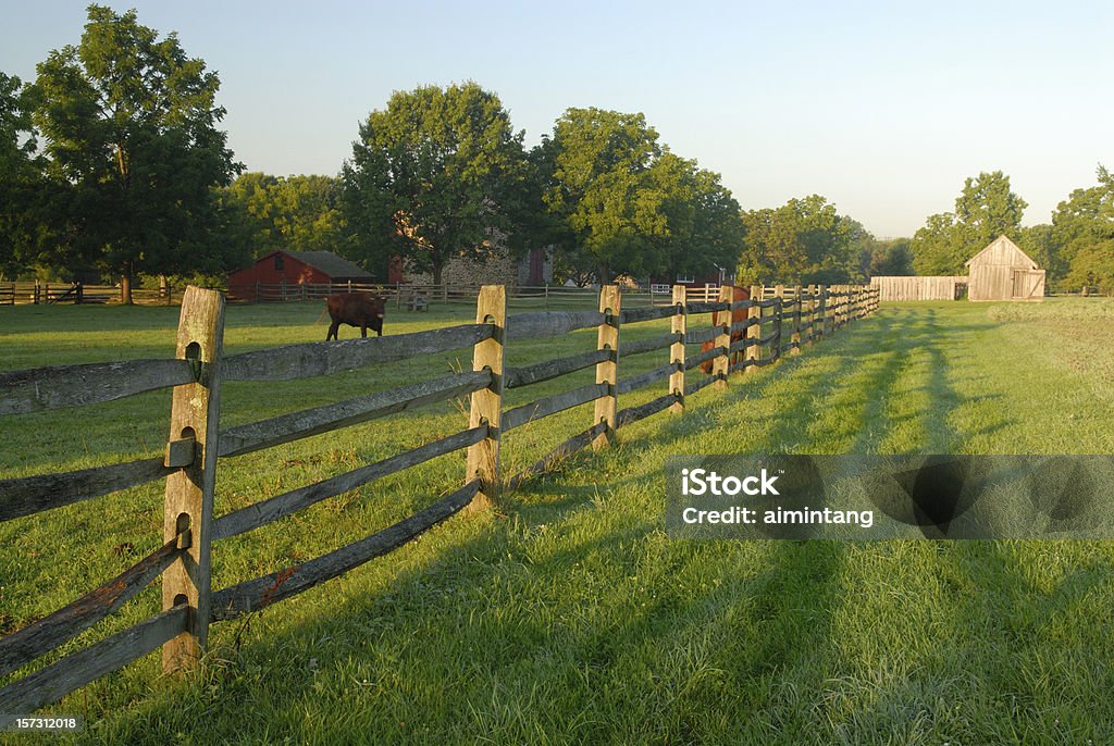 Farm mit Kühe - Lizenzfrei Agrarbetrieb Stock-Foto