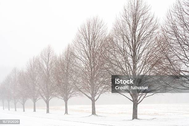 Unending Inverno - Fotografias de stock e mais imagens de Inverno - Inverno, A nevar, Ao Ar Livre