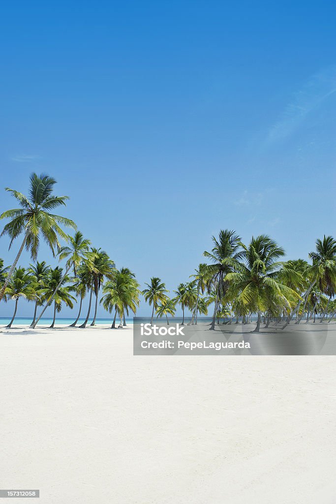 Paraíso ideal - Foto de stock de República Dominicana libre de derechos