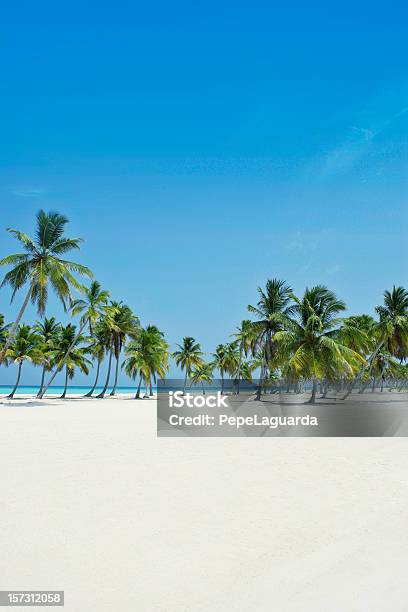 Paraíso Ideal Foto de stock y más banco de imágenes de República Dominicana - República Dominicana, Playa, Mar Caribe