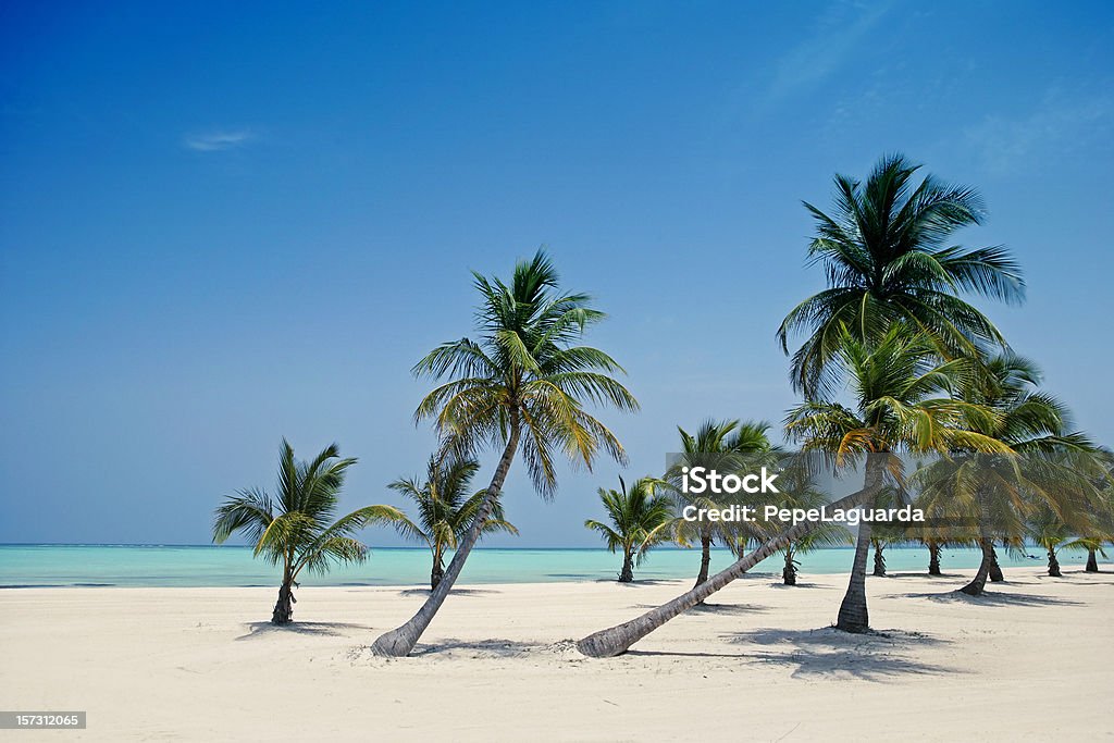 Plage de rêve - Photo de Activité de loisirs libre de droits