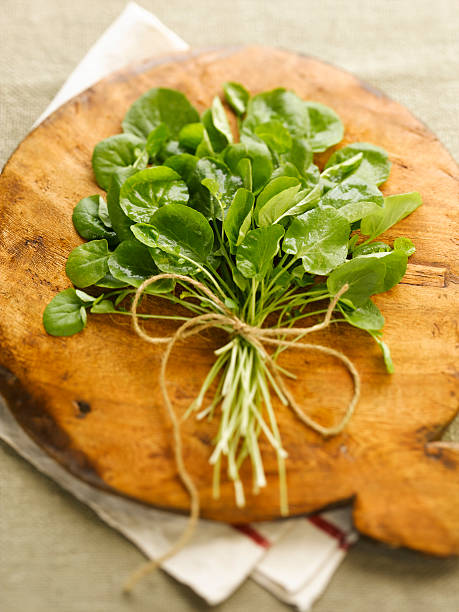 istock Watercress from the garden. 157312077