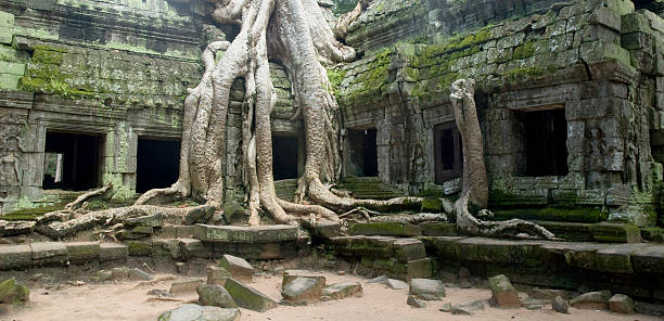 istock Banyan Tree Roots At Ta Prohm Temple, Angkor Wat, Cambodia 157312212