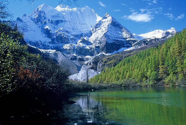Yulong Snow Mountain,Lijiang City,Yunnan,China,Asia.Chinese Mountains,Forest Sea.