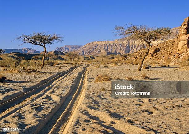 シナイ砂漠 - タイヤの跡のストックフォトや画像を多数ご用意 - タイヤの跡, 砂漠, アフリカ