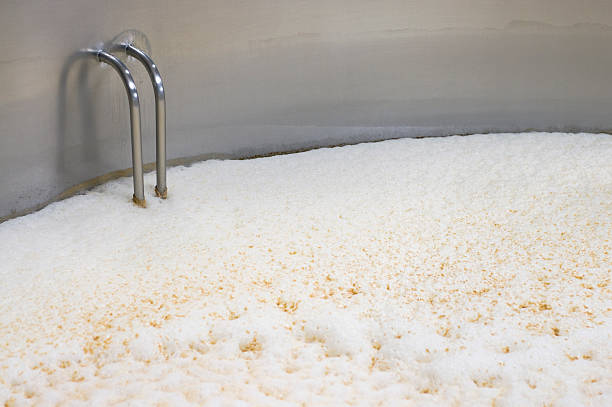 Beer Brewery in Action Beer fermenting in a huge stainless steel container in a brewery. yeast stock pictures, royalty-free photos & images