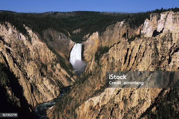 Photo libre de droit de Chutes Du Lower Yellowstone banque d'images et plus d'images libres de droit de Matin - Matin, Tomber, Wyoming