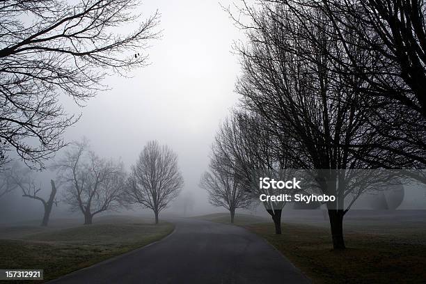 霧のレーン - ノースカロライナ州のストックフォトや画像を多数ご用意 - ノースカロライナ州, 冬, かすみ