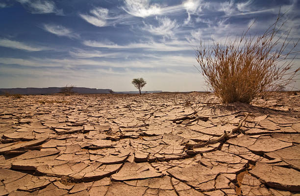 líbia - destruição imagens e fotografias de stock