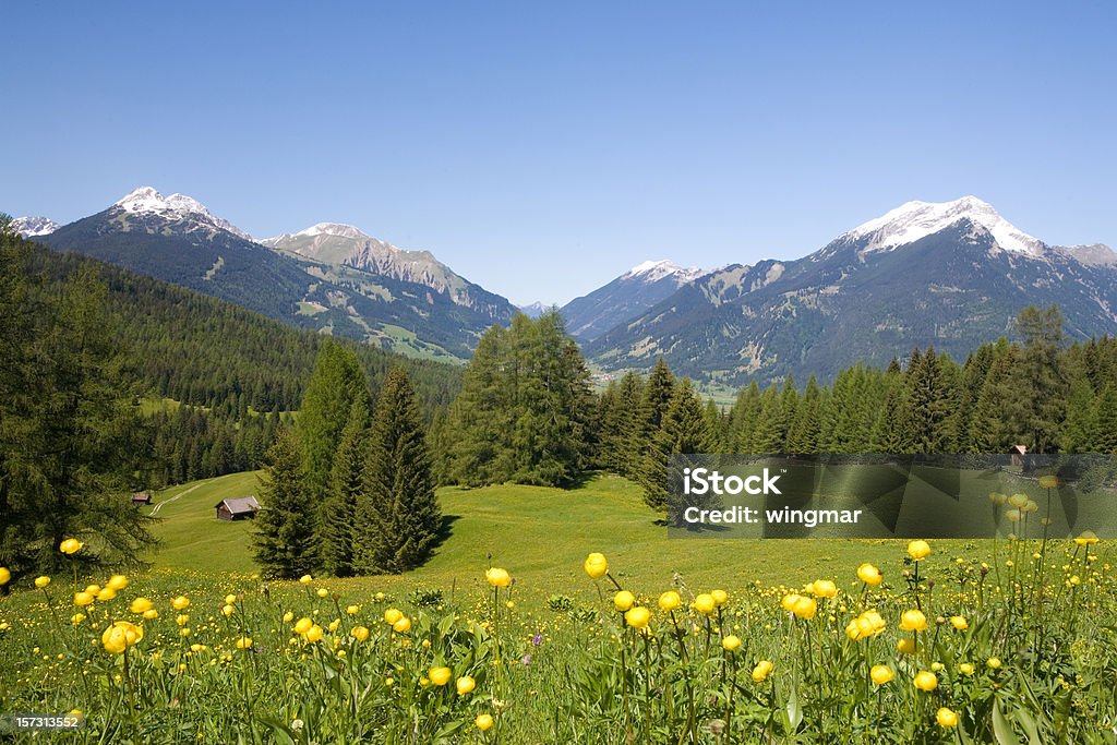 Sommer-Wiese - Lizenzfrei Berg Stock-Foto