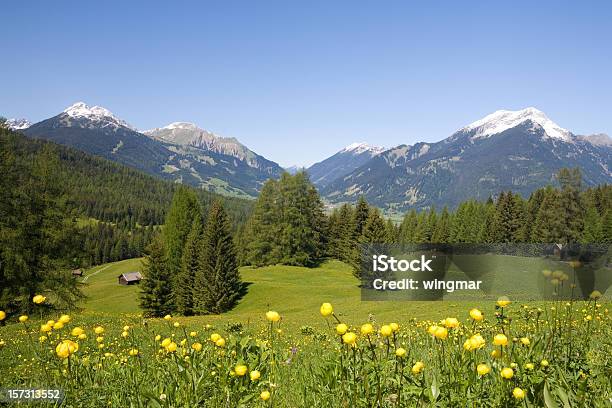 Sommerwiese Stockfoto und mehr Bilder von Berg - Berg, Sommer, Alpen