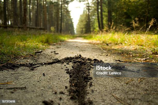 My Way 비포장도로에 대한 스톡 사진 및 기타 이미지 - 비포장도로, 광각, 나무