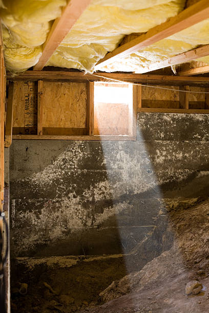 pomieszczenie rewizyjne wiązka światła - mold crawl space basement insulation zdjęcia i obrazy z banku zdjęć