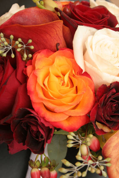 istock Autumn Bouquet Close-Up II 157314630