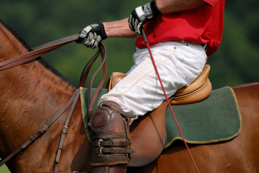 Polo player on horse