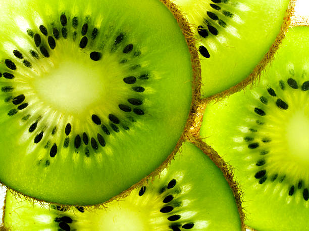 키위 - kiwi 뉴스 사진 이미지