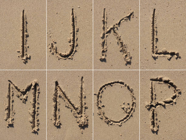 Thank you word on the sand beach with starfishes