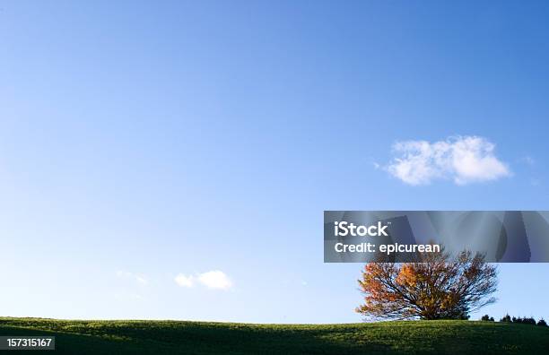 Samotny Drzewo W Jesiennym - zdjęcia stockowe i więcej obrazów Jesień - Jesień, Pasmo Błękitne, Appalachy