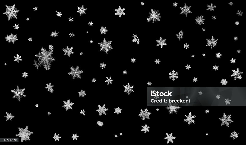 Real fiocchi di neve - Foto stock royalty-free di Fiocco di neve