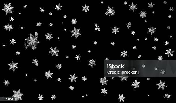Real Fiocchi Di Neve - Fotografie stock e altre immagini di Fiocco di neve - Fiocco di neve, Sfondo nero, Motivo decorativo