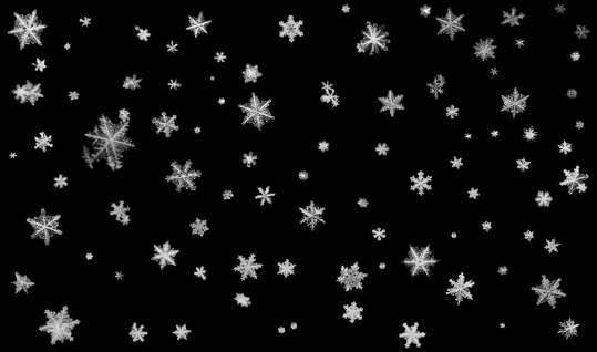 This image is a composition of pictures of actual snowflakes on a black background.  They were photographed on a surface and so all appear in one plane (ie 2 dimensional)