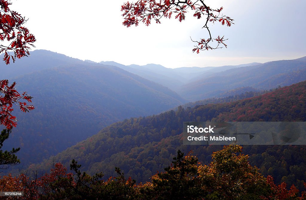 Montañas Blue Ridge en Virginia - Foto de stock de Caer libre de derechos