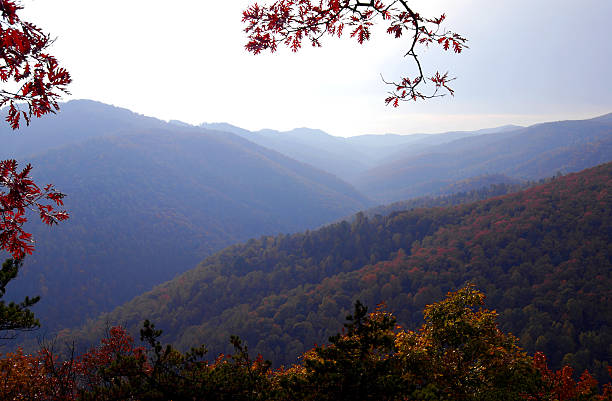 горы блю ридж в вирджинии - blue ridge mountains appalachian mountains appalachian trail skyline drive стоковые фото и изображения