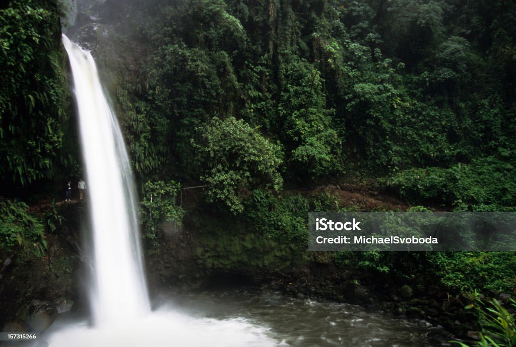 Cascade dans la Jungle - Photo de Cascade libre de droits