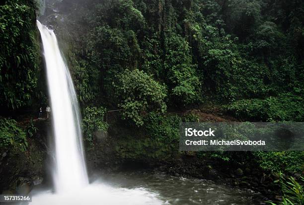 Catarata De Selva - Fotografias de stock e mais imagens de Cascata - Cascata, Costa Rica, Mistério