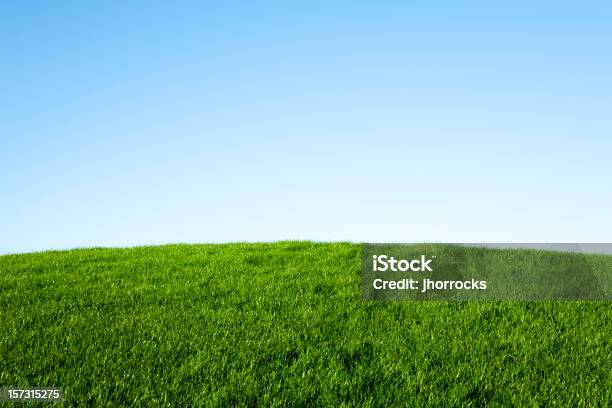 Green Gras Und Blauer Himmel Stockfoto und mehr Bilder von Anhöhe - Anhöhe, Gras, Grasland