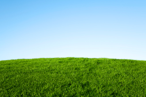 Verde hierba y cielo azul photo